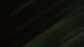 Photo by Kiks. Courtesy of the artist.