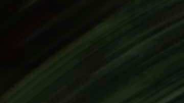 Photo by Kiks. Courtesy of the artist.