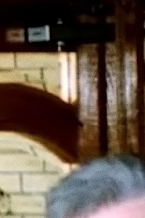 header-albert-lima-murder