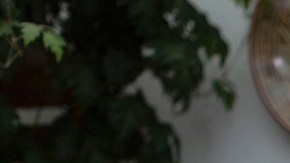 sychologist Ana Estrada, who has suffered from incurable and progressive polio since the age of 12, poses for pictures at her house in Lima, on February 15, 2020. Photo by ANGELA PONCE/AFP via Getty Images