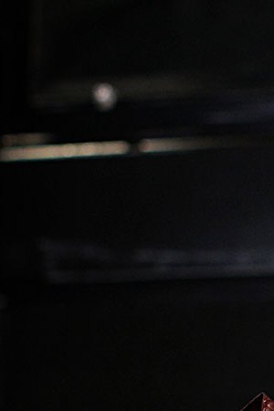 Actress Anya Taylor-Joy poses for a portrait at the Eliot Hotel in Boston on Feb. 26, 2020. Autumn de Wild. Photo by Suzanne Kreiter/The Boston Globe via Getty Images