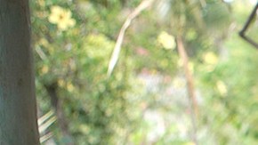 Dr Ramos visits Jose Vieira de Andrade (r) at home as part of the vaccination campaign for people over 80. Photo: Morena Perez Joachin/dpa Photo by Morena Perez Joachin/picture alliance via Getty Images