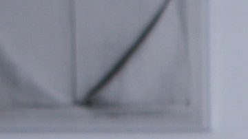 header-daniela-blanco