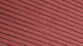 Photo by Ricardo Martinez Roa