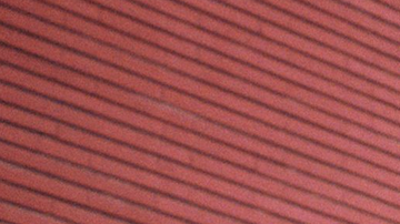 Photo by Ricardo Martinez Roa