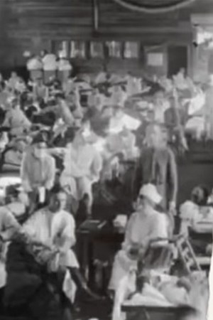 Screenshot courtesy of Vax in 8 Docs