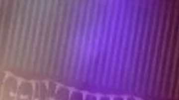 Art by Stephany Torres for Remezcla