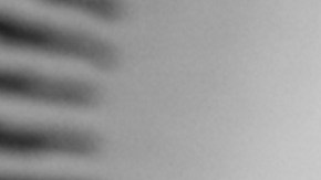 Photo by João Meirelles. Courtesy of the artist