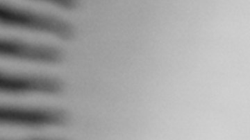 Photo by João Meirelles. Courtesy of the artist