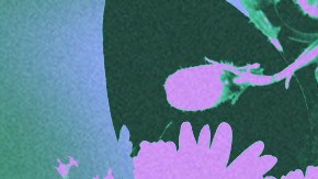 Art by Stephany Torres for Remezcla