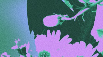 Art by Stephany Torres for Remezcla