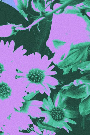 Art by Stephany Torres for Remezcla