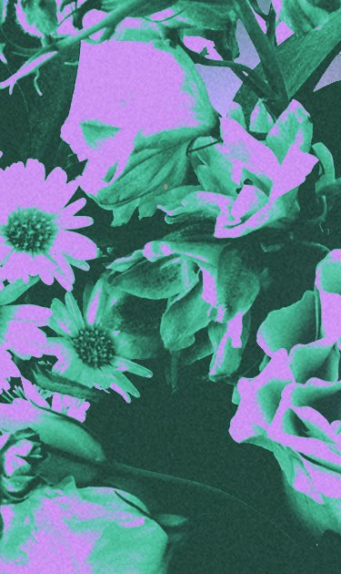 Art by Stephany Torres for Remezcla