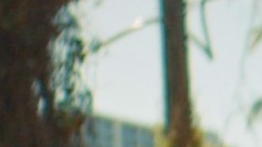 header-ma-corina-2