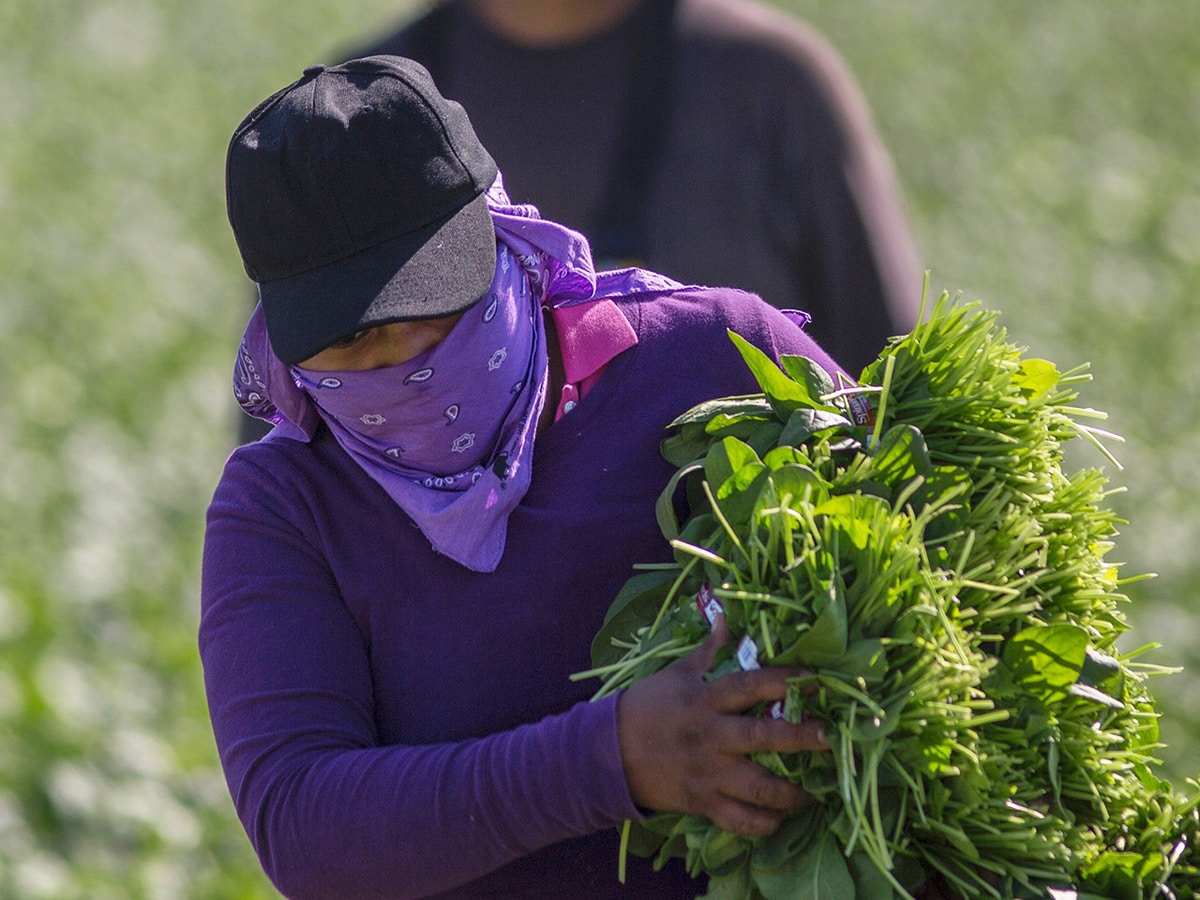 Coachella Valley Is Working on Bringing Vaccines To Farm Workers & More