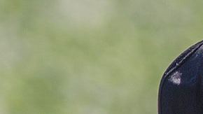 Immigrant farm workers harvest spinach field as US President Donald Trump takes steps to drastically increase deportations on February 24, 2017 near Coachella, California. / AFP / DAVID MCNEW Photo credit should read DAVID MCNEW/AFP via Getty Images.