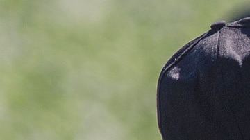 Immigrant farm workers harvest spinach field as US President Donald Trump takes steps to drastically increase deportations on February 24, 2017 near Coachella, California. / AFP / DAVID MCNEW Photo credit should read DAVID MCNEW/AFP via Getty Images.