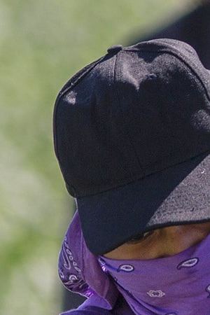 Immigrant farm workers harvest spinach field as US President Donald Trump takes steps to drastically increase deportations on February 24, 2017 near Coachella, California. / AFP / DAVID MCNEW Photo credit should read DAVID MCNEW/AFP via Getty Images.