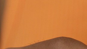 Woman's hands holding birth control pills. Photo Courtesy of Getty Images