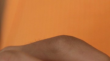 Woman's hands holding birth control pills. Photo Courtesy of Getty Images