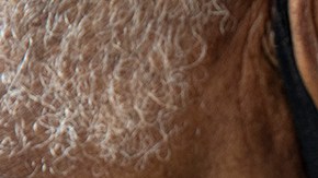 RN Melanie Albor vaccinates a resident at an affordable housing community on Thursday, Feb. 25, 2021 in Tracy, CA. Brian van der Brug / Los Angeles Times via Getty Images