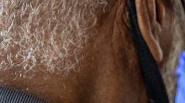 RN Melanie Albor vaccinates a resident at an affordable housing community on Thursday, Feb. 25, 2021 in Tracy, CA. Brian van der Brug / Los Angeles Times via Getty Images