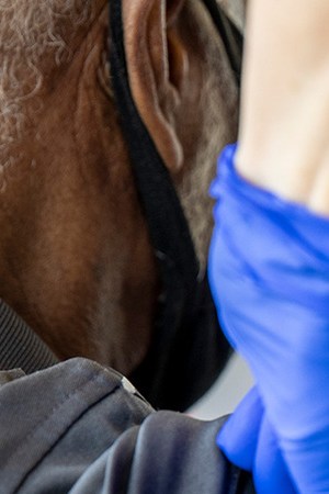 RN Melanie Albor vaccinates a resident at an affordable housing community on Thursday, Feb. 25, 2021 in Tracy, CA. Brian van der Brug / Los Angeles Times via Getty Images