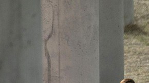 Asylum seekers listen to instructions at an outdoor U.S. Border Patrol processing center under the Anzalduas International Bridge after crossing the Rio Grande from Mexico on March 23, 2021 near Mission, Texas. Photo by John Moore/Getty Images