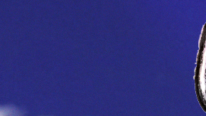 Art by Stephany Torres for Remezcla