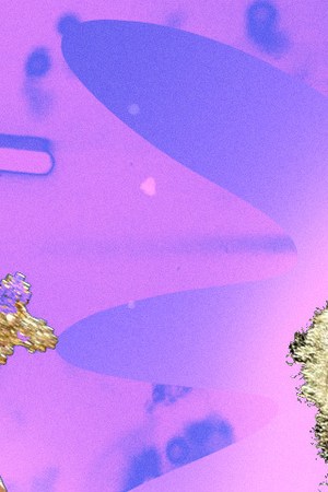 Art by Stephany Torres for Remezcla