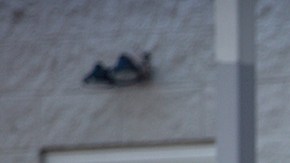 Customers leave Walmart on March 3, 2021 in Austin, Texas. Gov. Greg Abbott announced today that the state will end its mask mandate and allow businesses to reopen at 100 percent capacity on March 10. Photo by Montinique Monroe/Getty Images