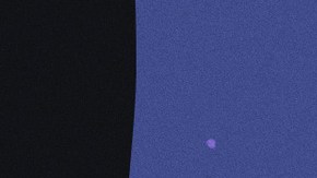 Art by Stephany Torres for Remezcla