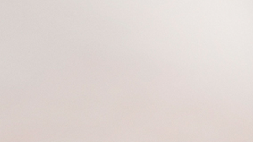 Photo courtesy of Adidas.