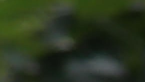 Photo by Friends of Elisa Crespo/Christian Amato. Courtesy of Crespo