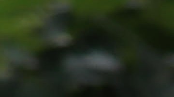 Photo by Friends of Elisa Crespo/Christian Amato. Courtesy of Crespo