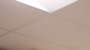 Adriana Cardenas, a medical technologist processes test samples for the coronavirus at the AdventHealth Tampa labs on June 25, 2020 in Tampa, Florida. Photo by Octavio Jones/Getty Images