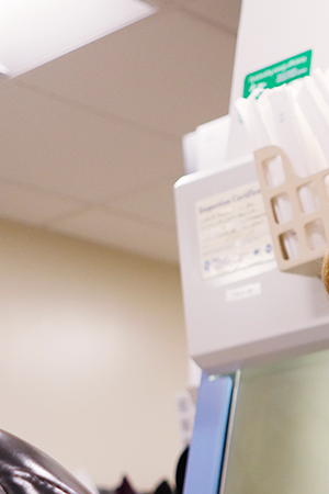 Adriana Cardenas, a medical technologist processes test samples for the coronavirus at the AdventHealth Tampa labs on June 25, 2020 in Tampa, Florida. Photo by Octavio Jones/Getty Images