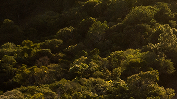 Aerial view of the Christ The Protector Statue and the Valle de Taquari on April 20, 2021 in Encantado, Brazil. Photo by Buda Mendes/Getty Images