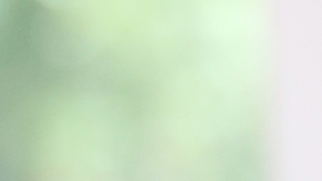 Actor Danny Trejo visits Hallmark's "Home & Family" at Universal Studios Hollywood on July 30, 2018 in Universal City, California. Photo by Paul Archuleta/Getty Images