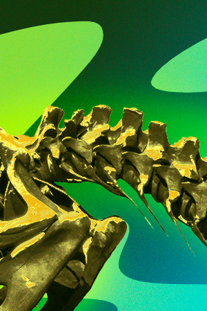 Art by Stephany Torres for Remezcla