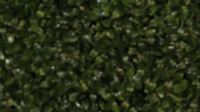 Eva Mendes attends Create & Cultivate Los Angeles at Rolling Greens Los Angeles on February 22, 2020 in Los Angeles, California. Photo by Phillip Faraone/Getty Images