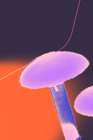 Photos courtesy of the subjects. Art by Stephany Torres for Remezcla