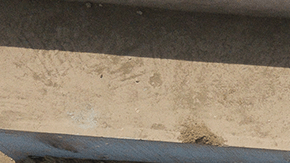 Relatives of Teofilo Yovera Yarleque, who according to his family died of complications caused by COVID-19, carry the coffin during his burial at "Martires 19 de Julio" Cemetery on August 20, 2020 in Comas, in the outskirts of Lima, Peru. Photo by Marcos Reategui/Getty Images