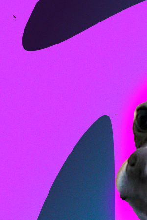 Art by Stephany Torres for Remezcla