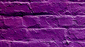 Art by Stephany Torres for Remezcla