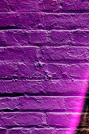 Art by Stephany Torres for Remezcla