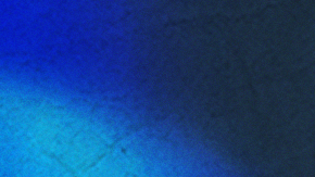 Art by Stephany Torres for Remezcla