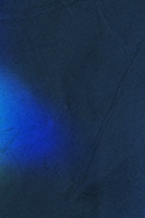 Art by Stephany Torres for Remezcla