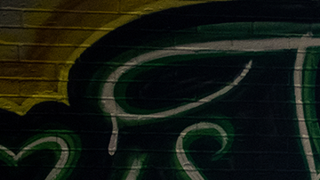 Flowers adorn a mural of Vanessa Guillen, a soldier based at nearby Fort Hood on July 6, 2020 in Austin, Texas. Photo by Sergio Flores/Getty Images