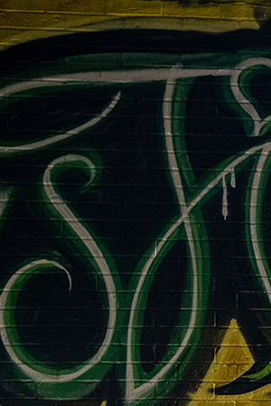 Flowers adorn a mural of Vanessa Guillen, a soldier based at nearby Fort Hood on July 6, 2020 in Austin, Texas. Photo by Sergio Flores/Getty Images